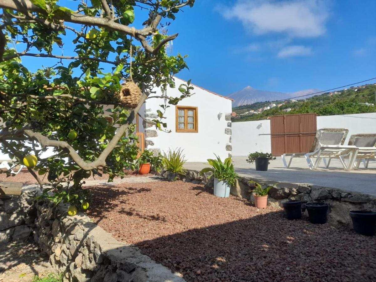 La Casa Del Bisa Villa Genovés Exteriör bild
